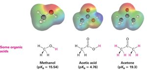 Organic acids with polarized hydrogen