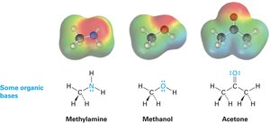 Organic bases: methylamine, methanol, acetone