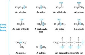 Examples of Lewis bases in organic chemistry