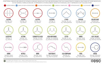 Functional groups chart