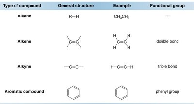 benzene ring structure