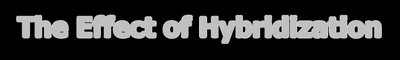 The Effect of Hybridization
