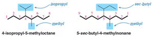 Naming examples with isopropyl and sec-butyl