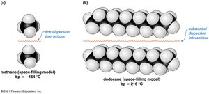 Space-filling models of methane and dodecane showing dispersion interactions