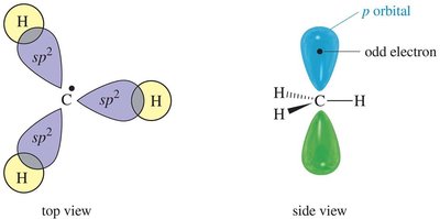 Structure of carbocation, radical, carbanion, and carbene