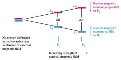 Energy difference between nuclear spin states increases with magnetic field strength