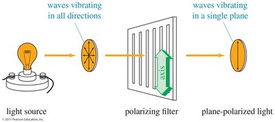 Polarizing filter and plane-polarized light