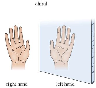 Chiral hands: right and left hand mirror images