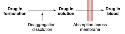 Drug absorption process: formulation to blood