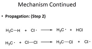Propagation step