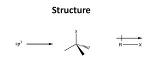 Structure of alkyl halides