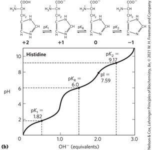 Titration curve of histidine with pI calculation