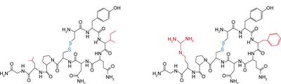 Structures of oxytocin and vasopressin