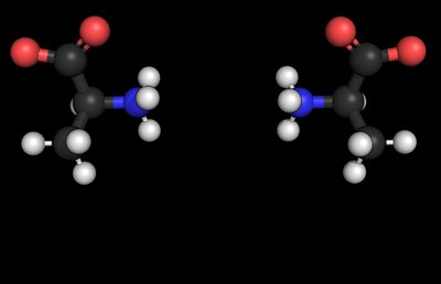 Amino acid enantiomers (L and D forms)