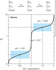 Titration curve of glycine