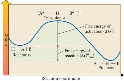 Reaction coordinate diagram for acid-base reaction