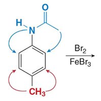 Disubstituted benzene: directing effects