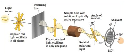 Measurement of optical activity with a polarimeter