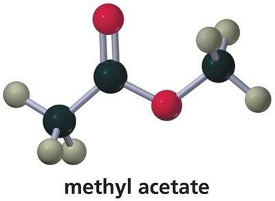 Ester hydrolysis reaction
