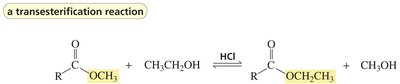 Protonation of carbonyl oxygen