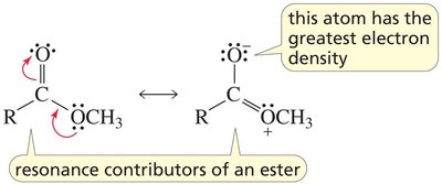 Acid-catalyzed hydrolysis mechanism
