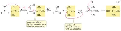 Hydroxide-ion-promoted hydrolysis mechanism