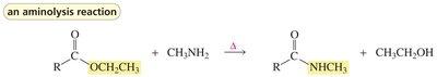 Aminolysis reaction