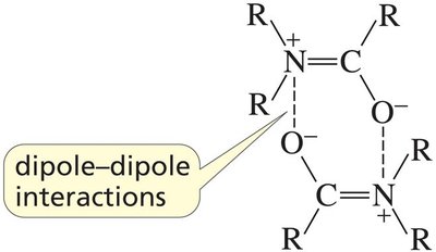 Dipole-dipole interactions in amides