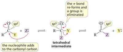 Nucleophilic acyl substitution mechanism