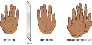 Hands as an analogy for chirality