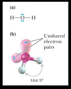 Water structure and bond angle with lone pairs