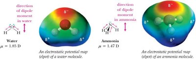 Electrostatic potential maps for water and ammonia showing dipole direction