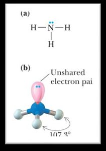Ammonia structure and bond angle with lone pair