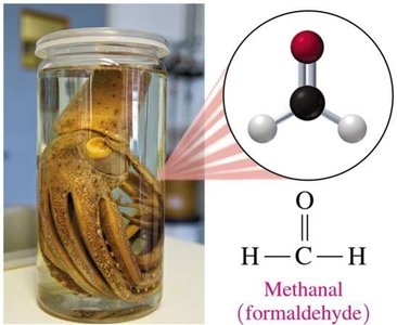 Formalin (formaldehyde) used to preserve a biological specimen, with a molecular model of methanal