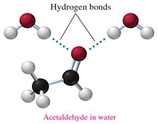 Hydrogen bonding between acetaldehyde and water