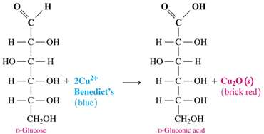 Benedict's test with glucose