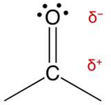 Polarity of the carbonyl group with partial charges