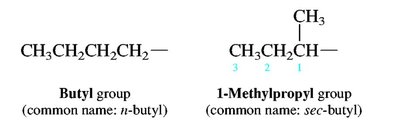 Butyl and sec-butyl groups
