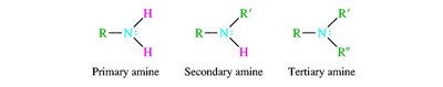 Diamines and aromatic amines