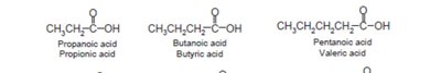 Examples of substituted carboxylic acids