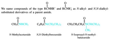 Examples of amides