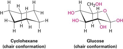 Chair conformation of cyclohexane and glucose