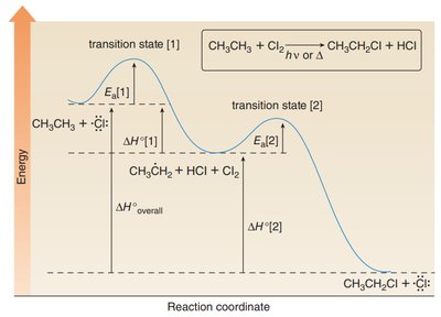 Energy profile for radical halogenation