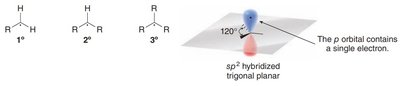 Structure and hybridization of carbon radicals