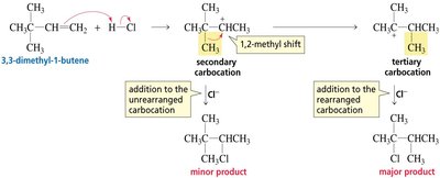 Mechanism of 1,2-methyl shift