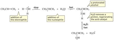 Mechanism of acid-catalyzed hydration of an alkene