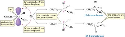 Stereochemistry of addition to 1-butene: formation of enantiomers