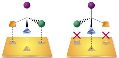 Chiral recognition by biological receptors