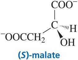 Structure of (S)-malate, a chiral product