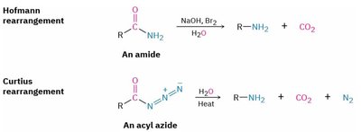 Hofmann and Curtius rearrangements
